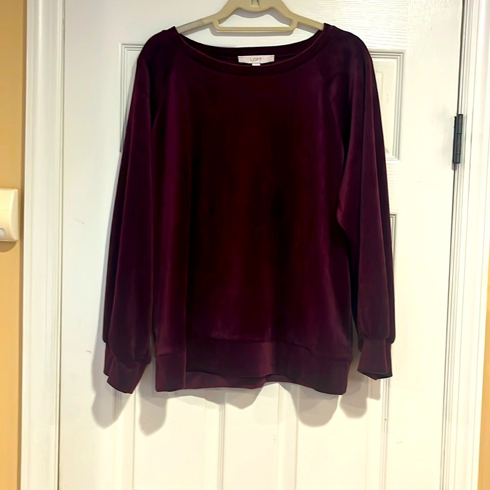 NWT Liza Byrd velvet tunic